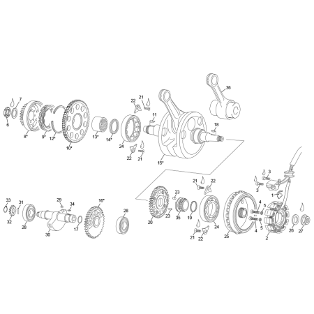 VILEBREQUIN ASSEMBLÉ
